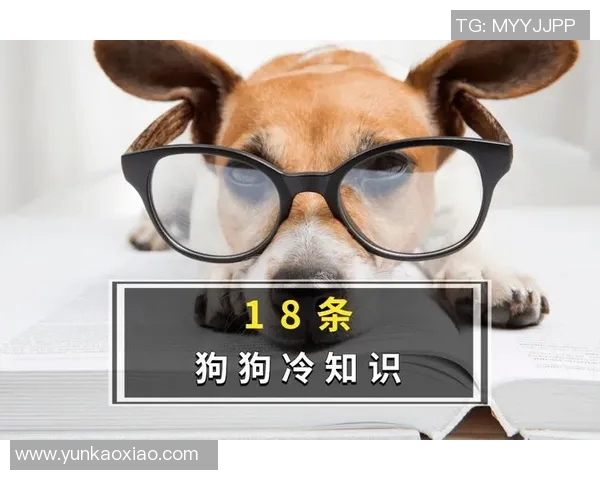 你不知道的足球转会：十大冷知识大揭秘